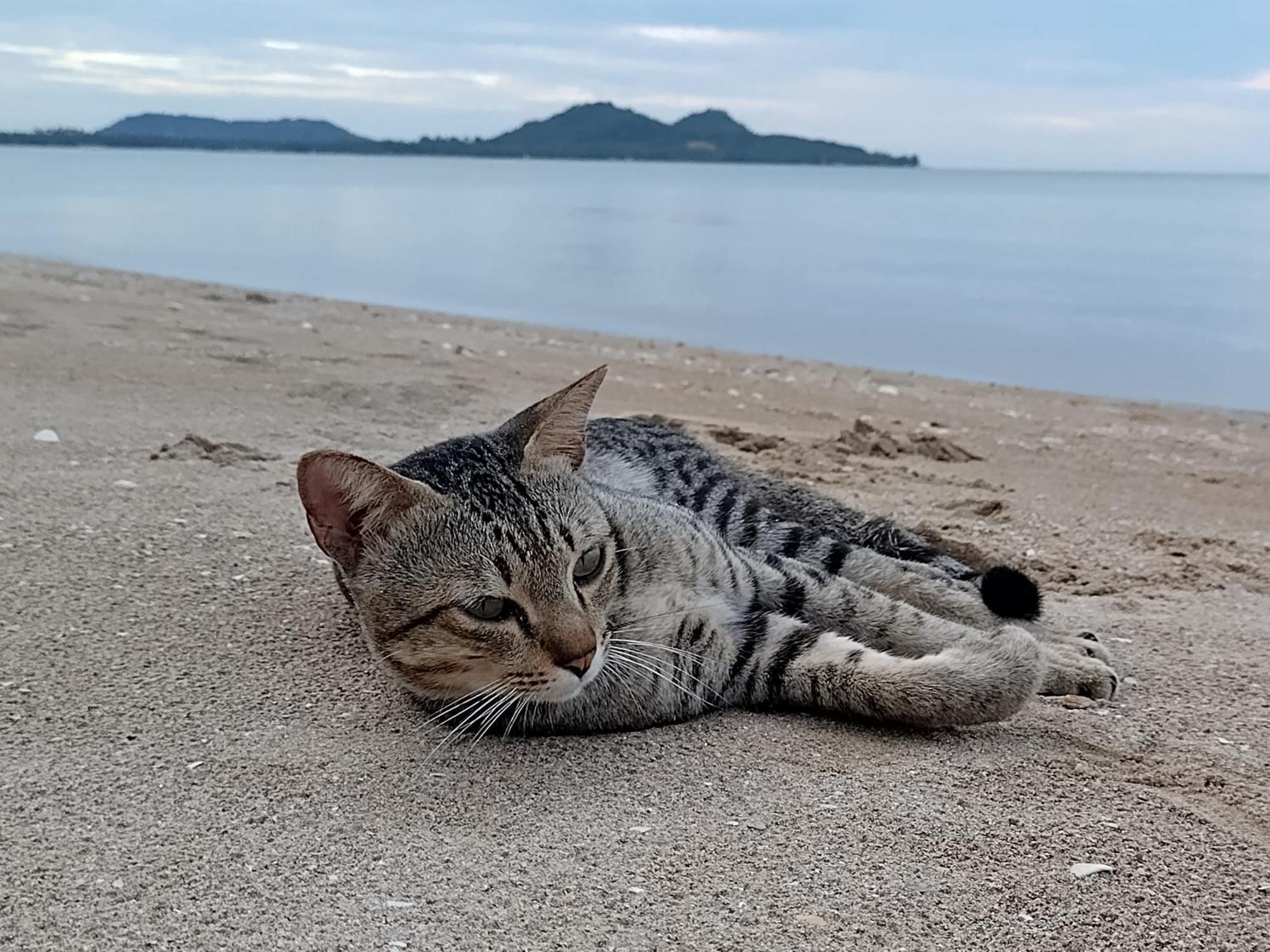 Ban Tawansongfa Hotel Lang Suan Luaran gambar